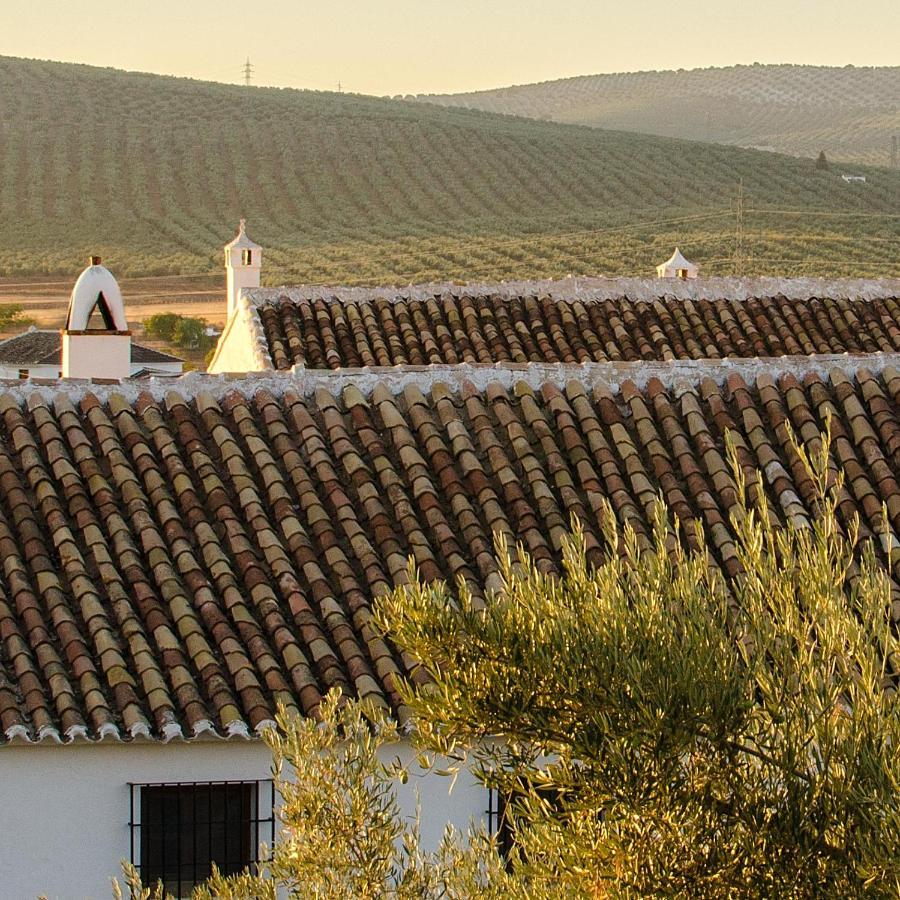 Cortijo Alzamigaja Villa Archidona Exterior photo